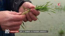 Inondations : faut-il changer les pratiques agricoles ?