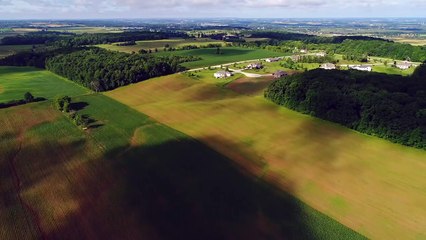 Sneaky Pete Season 2 - Official Trailer [HD] | Prime Video