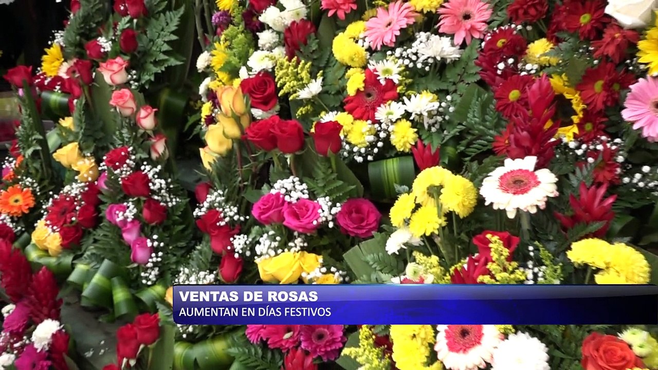 Ventas de rosas aumentan en días festivos