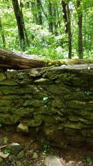 Shenandoah National Park Pocosin Trail Indian Flashlight Session Lunar Paranormal Virginia