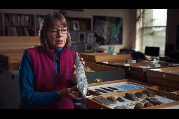 [SD] ICE BRIDGE (JAN 14 2018, CBC) SOLUTREAN DOCUMENTARY