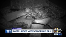 Mom urges vote on opioid bill as decisions loom