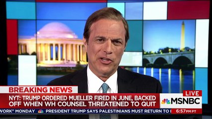 Presidential historian warns Donald Trump is 'ripping page out of Nixon playbook'