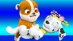 Paw Patrol & Groovy the Martian - Rubber puppy takes care of his friend Marshall