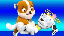 Paw Patrol & Groovy the Martian - Rubber puppy takes care of his friend Marshall