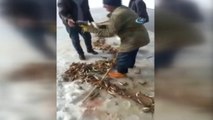 Ağrı'da Buz Tutan Dereden Balık Fışkırdı, Vatandaşlar Mutluluktan Havalara Uçtu