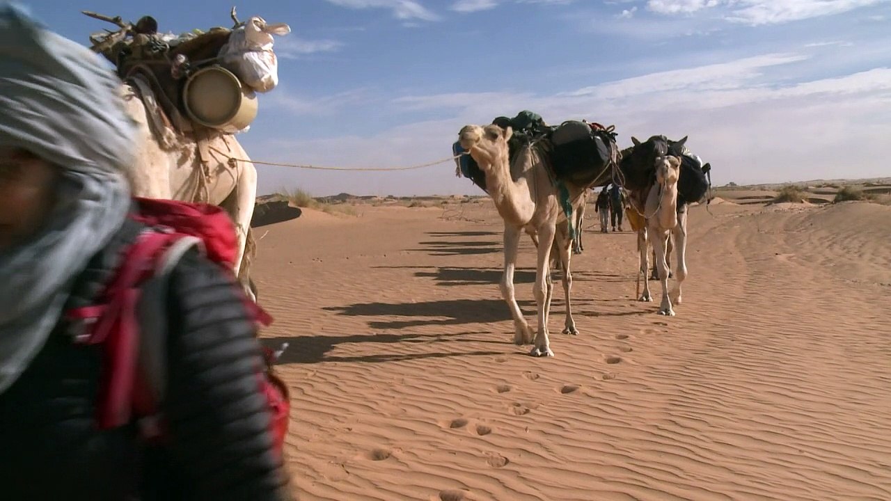 Mauretaniens Wüstenschätze faszinieren Touristen