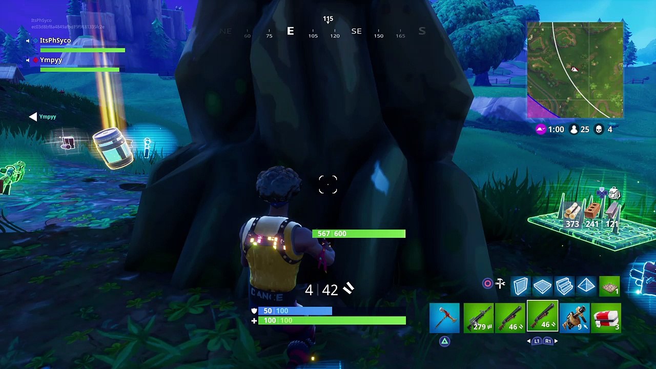 Fortnite_20180125202824