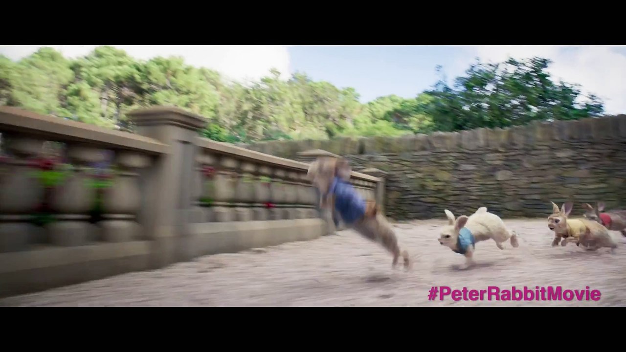 PETER RABBIT - Wet Willy