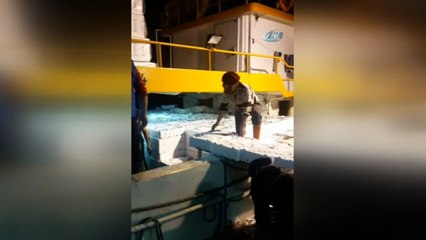 Ordulu balıkçılar hamsinin peşinden Gürcistan'a gitti