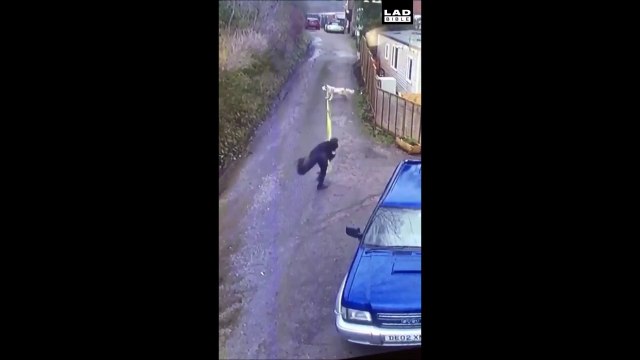 La prochaine fois que tu promènes ton chien, met un casque. Gamelle énorme