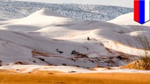 Recurring snowfall on the Sahara evidence of global warming?
