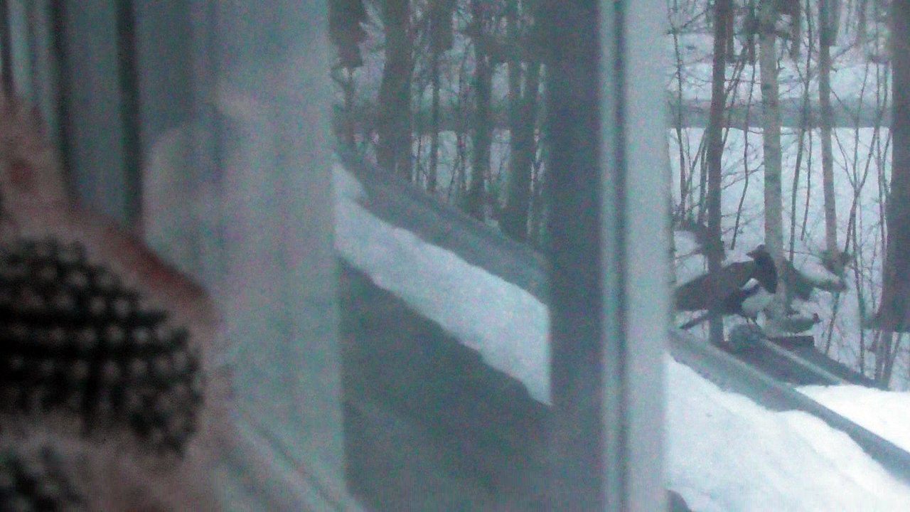 Jan 26 2018 DL2