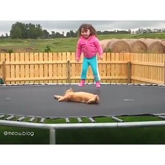 Phòng khám đa khoa Đại Đông - Funny cats #1