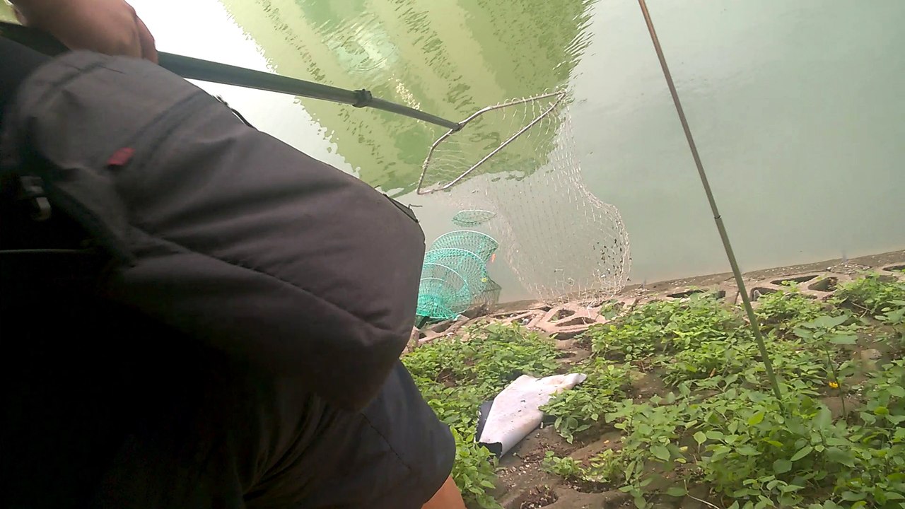 Đồ Câu Cá Giá Rẻ - Câu cá giải trị tại hồ câu dịch vụ ở Hà Nội