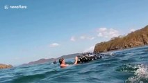 Snorkelers have close encounter with baby humpback whale