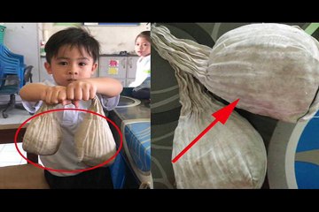 Guru TK Lakukan Sidak, Kaget Saat Lihat Benda Misterius yang Dibawa Muridnya, Bentuknya Mengerikan!