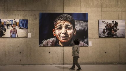 Teröristler İftiraya Doymuyor! Ödüllü Fotoğrafı "Afrin'i Kurtarın" Başlığıyla Paylaştılar