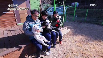 한국기행 - 시선기행, 나는 견(犬)이다 5부 견생역전, 달려라 동경이_#002