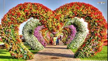 Dubai Miracle Garden 2018 -