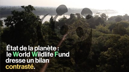 Le bilan contrasté sur l'état de la planète d'Isabelle Autissier (WWF)