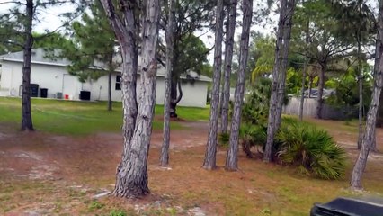 Pros & Cons To Home Ownership In Florida Or Anywhere Else