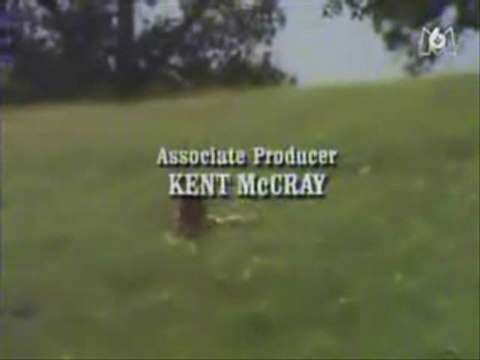 La petite maison dans la prairie generique fin