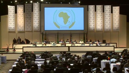 الوحدة الأفريقية.. عقبات وتحديات