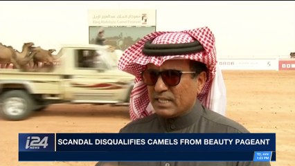 i24NEWS DESK | Scandal disqualifies camels from beauty pageant | Friday, January 26th 2018