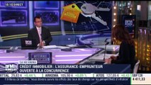 Marie Coeurderoy : La renégociation de l'assurance-emprunteur cartonne - 26/01