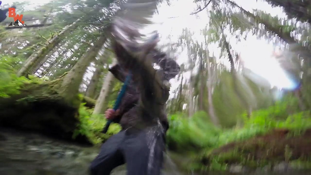 GIANT SCREAMING FROG!