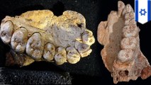 Earliest human remains outside Africa found inside Israeli cave