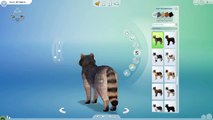 The Rascal Raccoons Arrive!!  Sims 4: Cats & Dogs