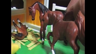 Breyer Horses - Growing Ideas- Jenna Foaling Again Part 1 Mini Whinnies Horse Movie Video Series