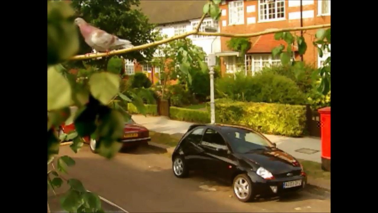 Most funny videos ever seen in the world