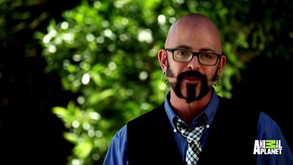 Jackson Galaxy Recounts His Hellish Experience With May The Attack Cat