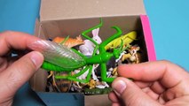 Box with Toys! Insects, Bugs, Animals, Sharks, Fish, Safari Animals and more