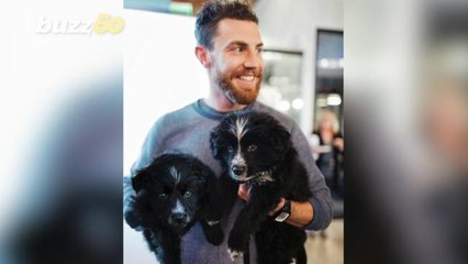 Road-tripper Rescues Puppies And Starts a 30,000 Mile Traveling Adventure
