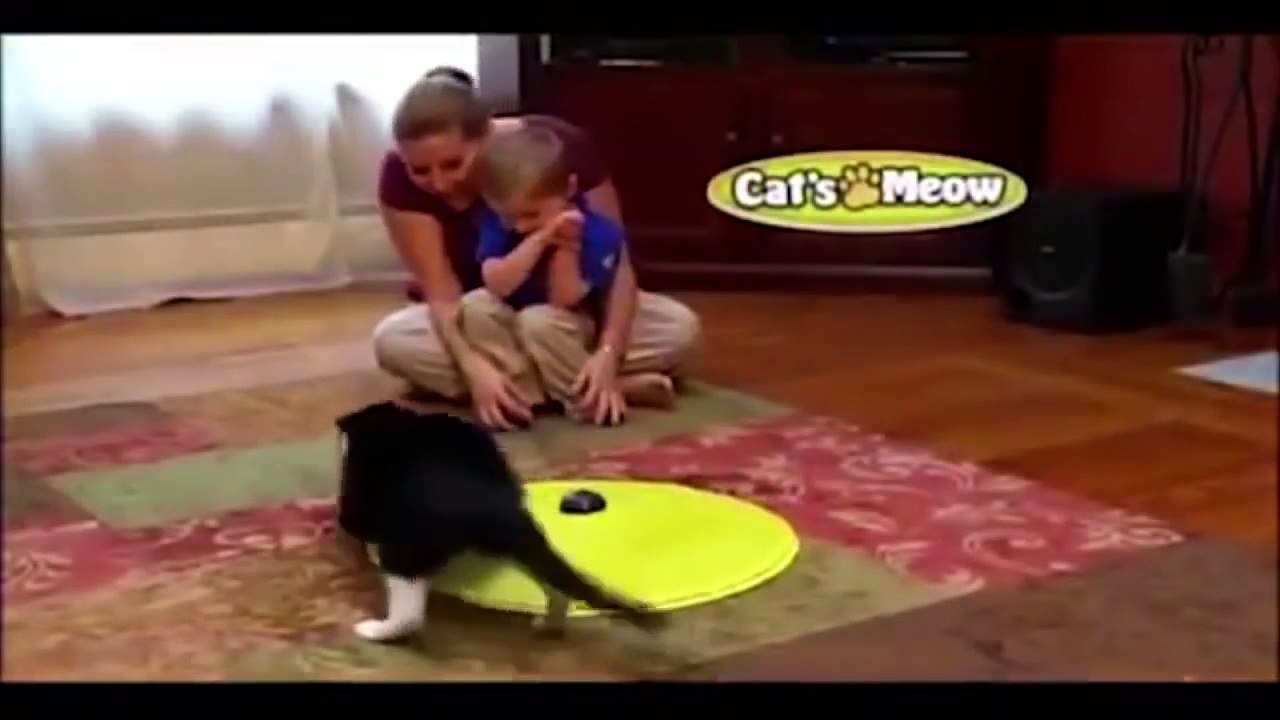Infomercialism: Cat's Meow