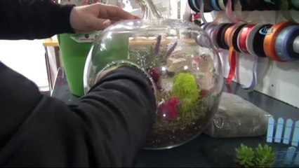 Romantiklerin Yeni Tercihi 'Kaktüs Teraryum Saksısı'