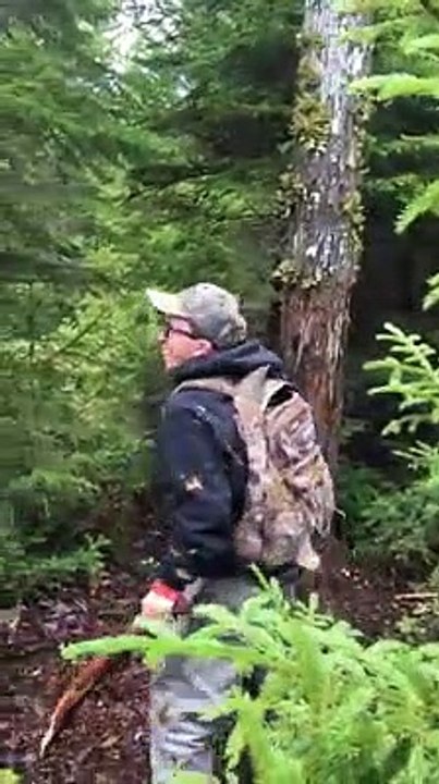 Cet ours perché va avoir sa vengeance sur l'homme en dessous... regardez un peu!