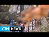 등산 사고 '단풍철' 최다...오후 1시~3시 '집중' / YTN