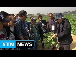 금보다 비싼 씨앗...국제박람회 열렸다 / YTN