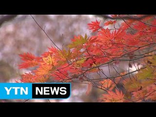 지리산 타는 단풍에 물들어 / YTN