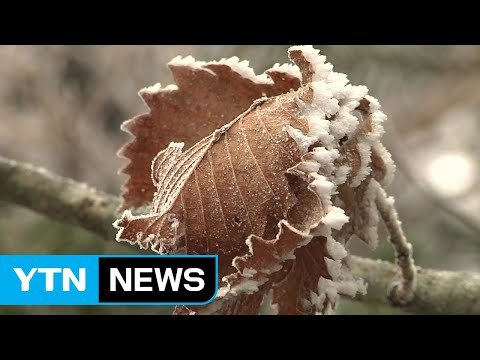 [날씨] 오늘 때 이른 가을 추위...강원 산간 첫눈 / YTN