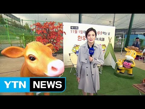 [날씨] 구름 많고 포근한 늦가을...한우 축제 즐겨요 / YTN