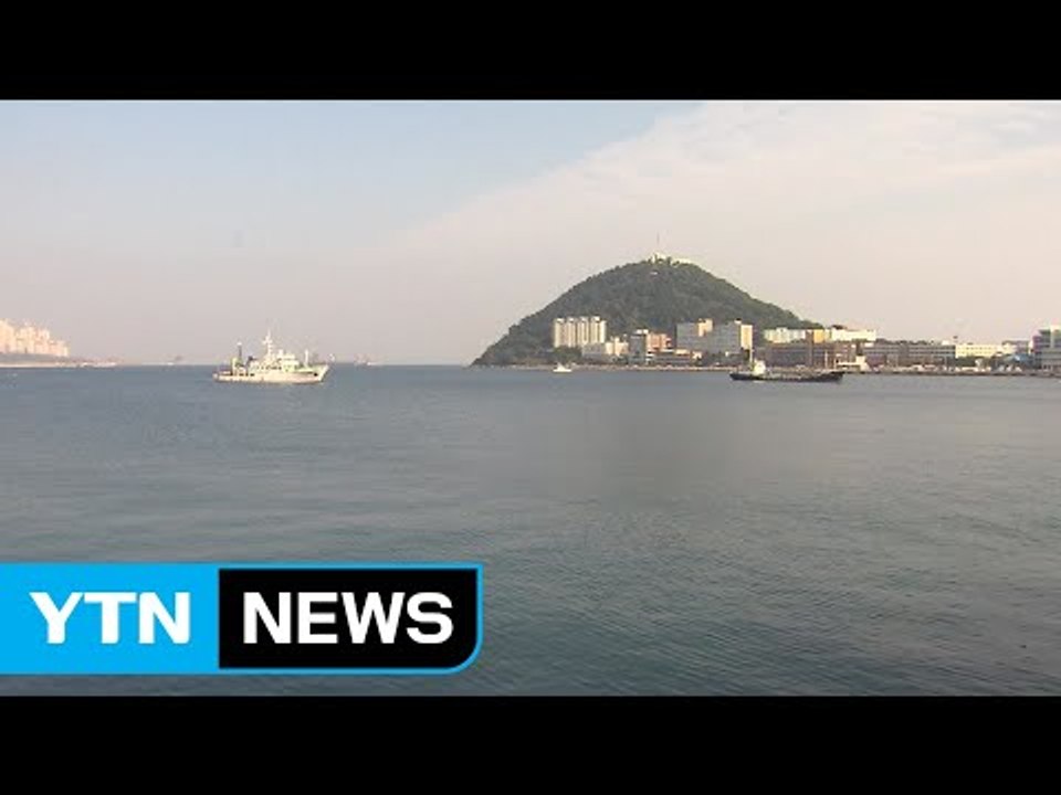 [부산] 작은 돌고래 상괭이, 부산 가덕도 연안 연중 서식 / YTN