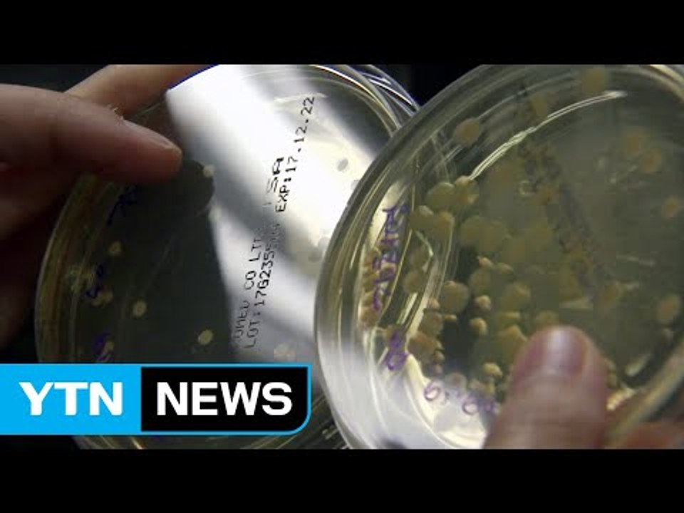 석탄 가루 날리던 시골이 '백신 주권' 기지로 / YTN