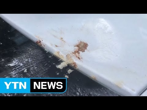 [단독] 고층 아파트에서 감자 투척...경찰 수사 착수 / YTN