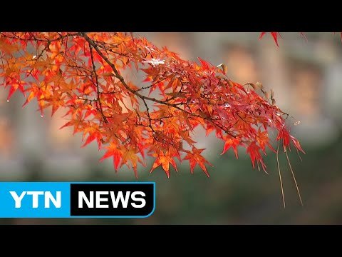 '울긋불긋' 단풍...가을 정취 만끽 / YTN
